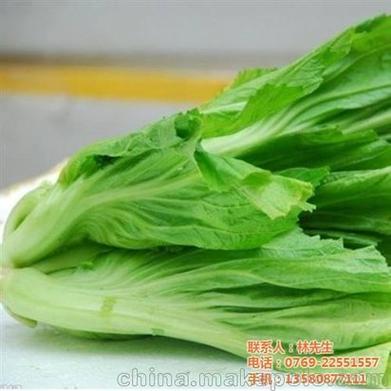 不限主营产品:膳食管理服务;预包装食品,蔬菜